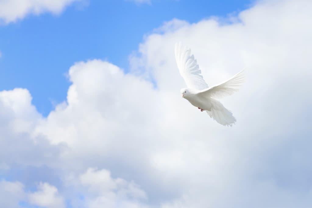 Oración de Acción de Gracias para Todos los Días